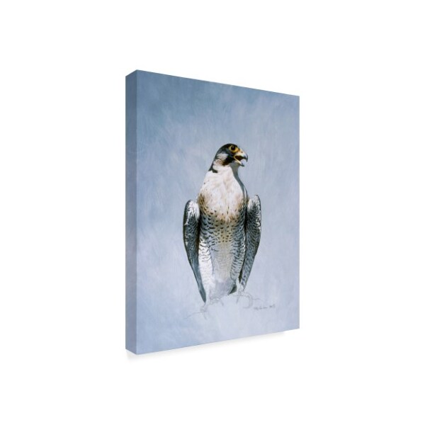 Ron Parker 'Peregrine Falcon' Canvas Art,14x19